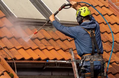 Démoussage et hydrofuge de toiture à Bévenais